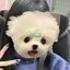 トゥイーティーのプロフィール画像