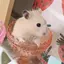 ハムのプロフィール画像