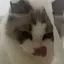 あのプロフィール画像