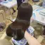 kanaのプロフィール画像