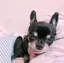なぎちゃんのプロフィール画像