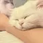 咲のプロフィール画像