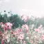 aymのプロフィール画像