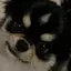 せらのプロフィール画像