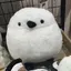 ひゅーのプロフィール画像