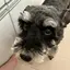 mapiのプロフィール画像