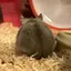 なーさんのプロフィール画像