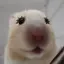 ハミーのプロフィール画像