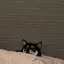 ちよんのプロフィール画像