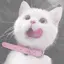 いしかわのプロフィール画像