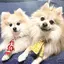 ＹＵＭＩのプロフィール画像