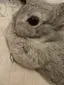 みーのプロフィール画像