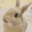 かなのプロフィール画像