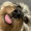 ちーのプロフィール画像