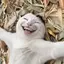りのプロフィール画像