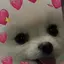 みらこのプロフィール画像