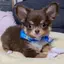 まりのプロフィール画像