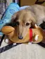 みーたんのプロフィール画像