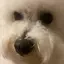 わかなのプロフィール画像