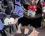 ゆいのプロフィール画像