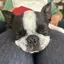 TAkiiのプロフィール画像