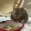 jimiのプロフィール画像