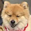 あむあむのプロフィール画像