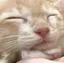 ゆこのプロフィール画像