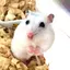 みーちゃんのプロフィール画像