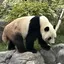 ひなたのプロフィール画像