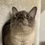 こーちゃんのプロフィール画像