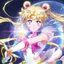 薔薇猫のプロフィール画像