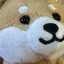 かいのプロフィール画像