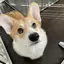 kouのプロフィール画像