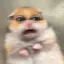 りのプロフィール画像