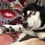 ざわみのプロフィール画像