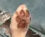 ゆいのプロフィール画像