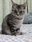 エリのプロフィール画像