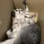 ゆらのプロフィール画像