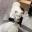 Yのプロフィール画像