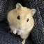 りんさんのプロフィール画像