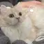 snのプロフィール画像