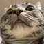 ななのプロフィール画像