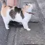 みのプロフィール画像