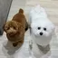 uraraのプロフィール画像