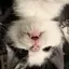 そらのプロフィール画像