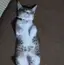 りーちゃんのプロフィール画像