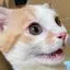 健次のプロフィール画像