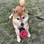 みのプロフィール画像