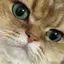 aのプロフィール画像